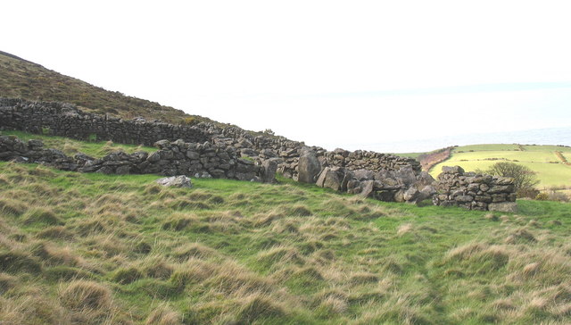 Sheepfold on the lower slopes of Gyrn Goch