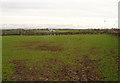 Looking across the fields at Ballynacross