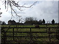 TM1196 : Paddock and Farm buildings, Wattlefield by Ian Robertson