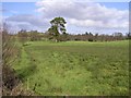 Drumsloe Townland