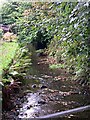 The stream at Carnbargus