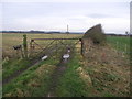 Rusty Gate and Tracks