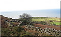 Contrasting land use - bracken-infested hill land and improved lowland pasture