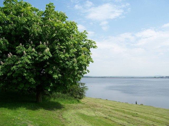 Draycote Water as seen from the Water Treatment Works