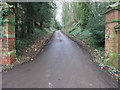 Footpath and Farm Track