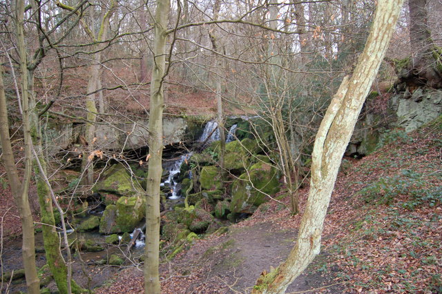 Waterfall in Collierley wood - Pont burn