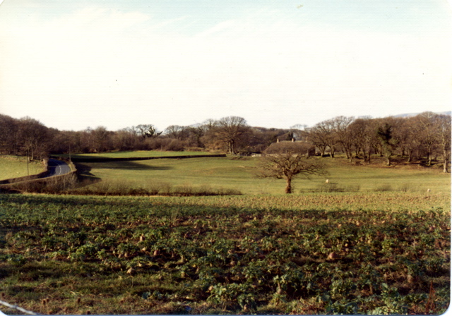 Farmland, Penrhyngerwyn, 1974