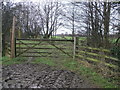 Path and Mud Tracks