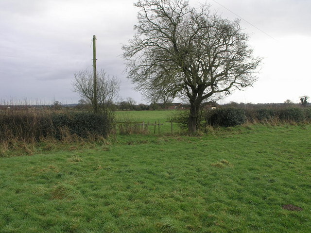 Path to the Airfield