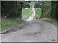 View along farm track