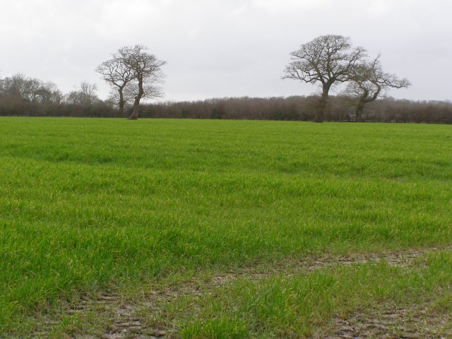 Field west of Lodge Farm