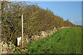 Footpath and hedge, Stonelands