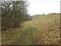 Farmland beside the Kinnaird Burn