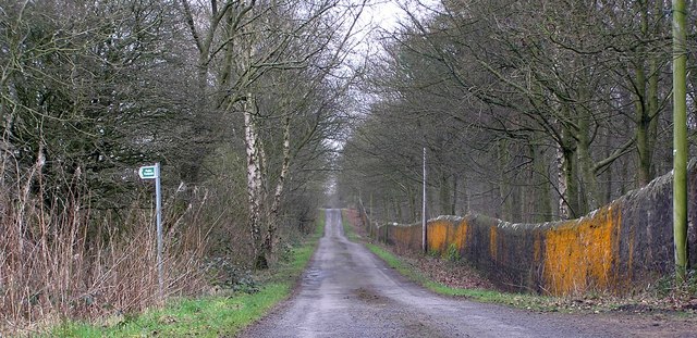 Scotland Lane