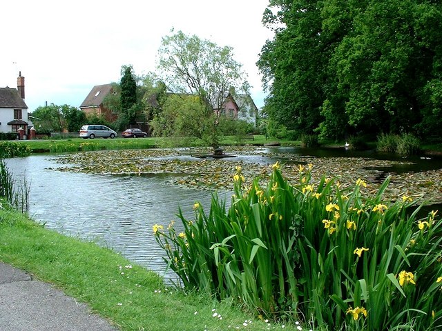 Village pond at Hanley Swan