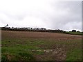 Mast above Minfield Farm, Bronllys