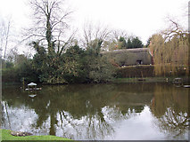 SU4334 : Village Pond, Crawley by Maigheach-gheal