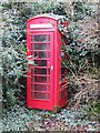 Overgrown red telephone box, Taverham