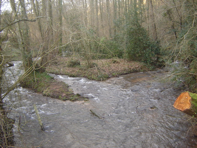 Castrogi Brook, The Cwm, near Llanvair Discoed