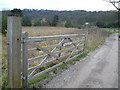 Ravensnest Sign and Lane to Cocking Tor