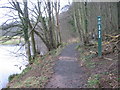 River Ayr Way Wellflat Bank