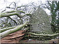 Wallace and Burns monument on neglected site at Oswald