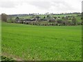 Winkland Oaks Farm set amongst the fields