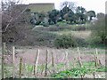 West Cliffe church and graveyard