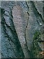 Sediment ripples in roadside quarry