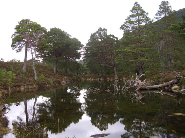 Pond at Inshriach