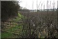 Fields & Gate off Welsh Lane