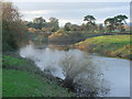 SJ3215 : River Severn/Vyrnwy confluence by Tamasine Stretton