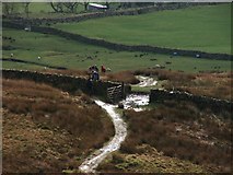 SD7379 : Gate and Stile at Broadrake. by Steve Partridge