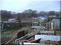 Allotments at Lynemouth