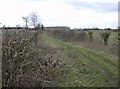 Footpath to Hodmore Farm