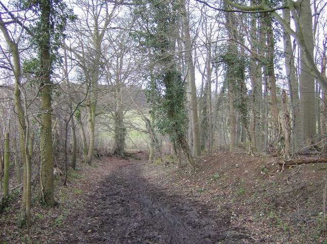 Bridleway north of Cross Lanes