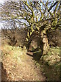 Steep Lane, Bradley, Huddersfield