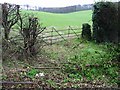 Farmland through a gate