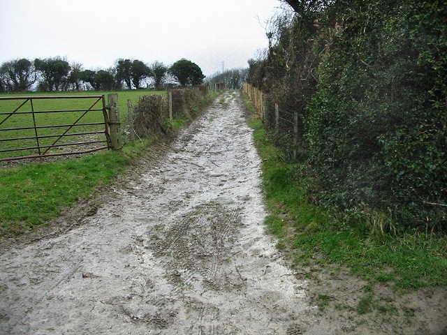 Looking NW along muddy track