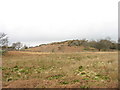 Rough grazing alongside the farm road to Rhianfa