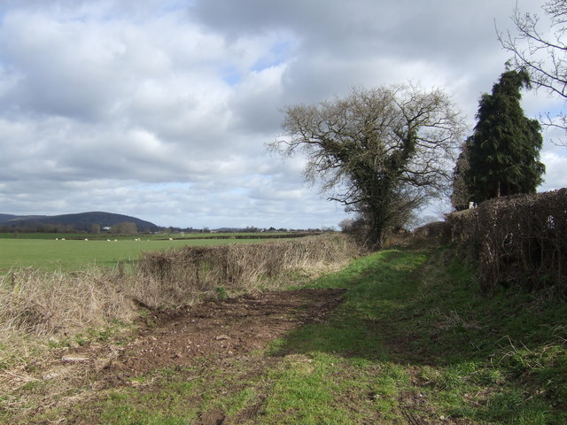 The other end of the lane