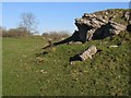 SJ2054 : Limestone Outcrop by John S Turner