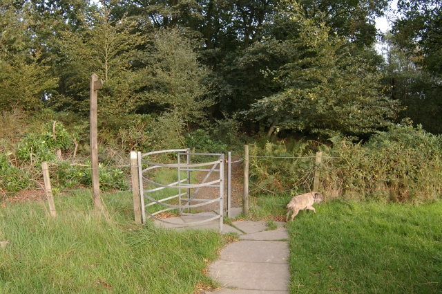 Gate into Witton Park
