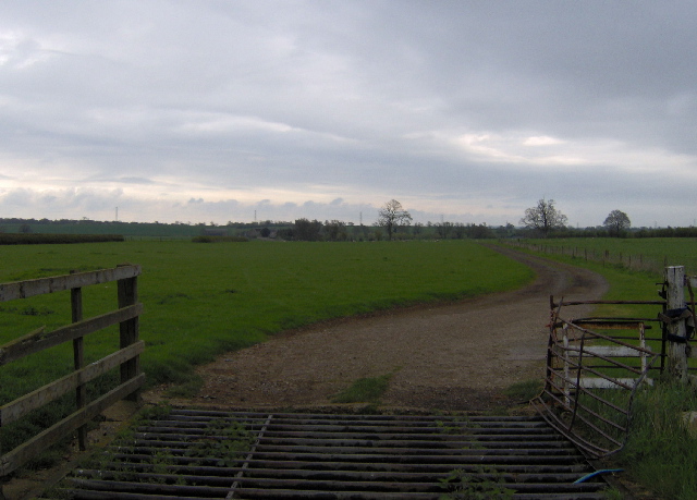 Cattle grid, near Lillingstone Dayrell