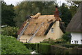 Thatching at Walthams Cross