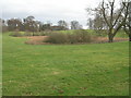 Overgrown lake at Pallinsburn House