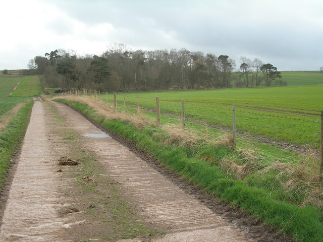 Farm road to Moneylaws Covert