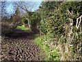 Muddy footpath in Broad Chalke