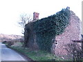 Ivy-clad ruined cottage