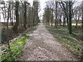 Driveway to Poulton Priory